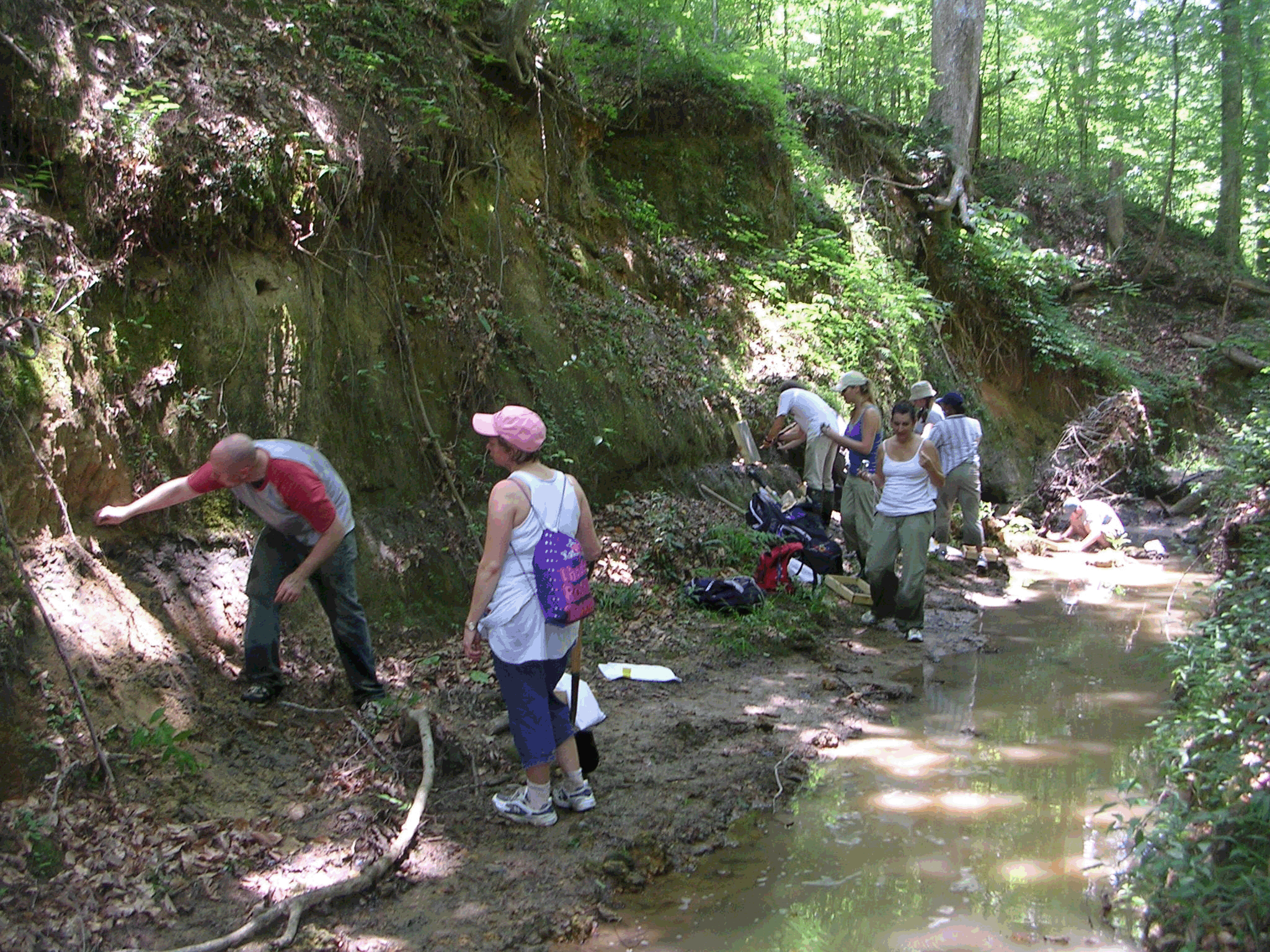 fossil dig